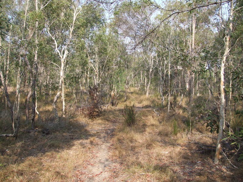 105 Condor Dr, Sunshine Acres QLD 4655