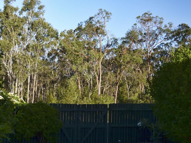 111 Bideford St, Torquay QLD 4655