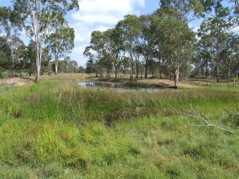 43 Carter Lane, Dundathu QLD 4650