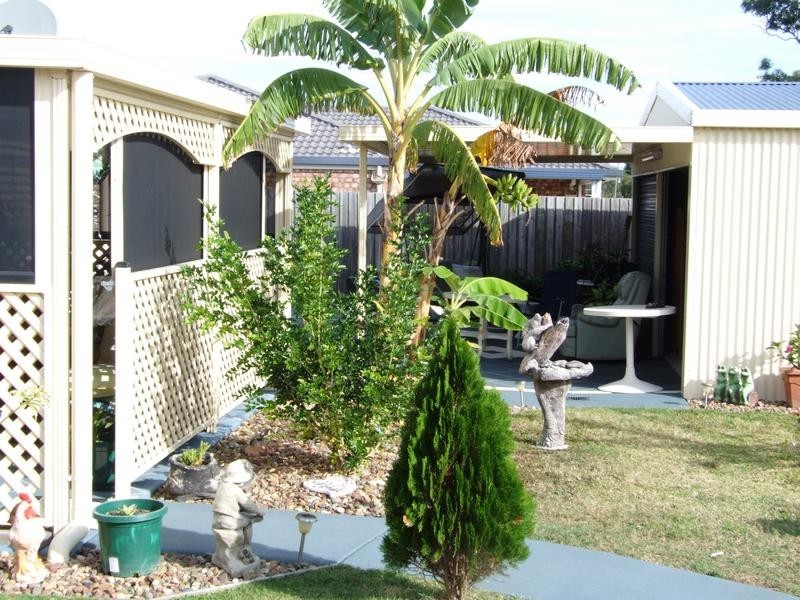 59 Bunya Court, Eli Waters QLD 4655