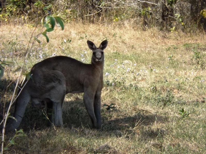 26 Beacon Rd, Booral QLD 4655