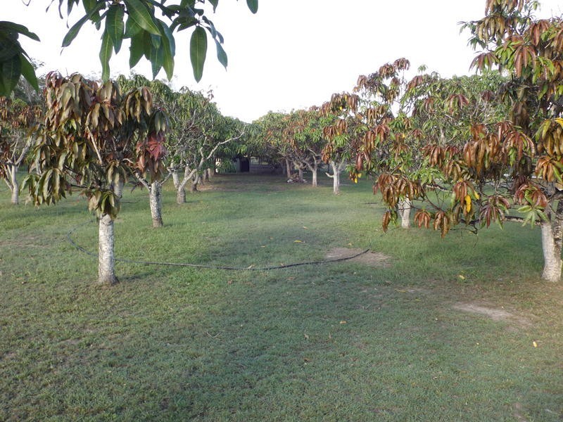 24 Beacon Rd, Booral QLD 4655