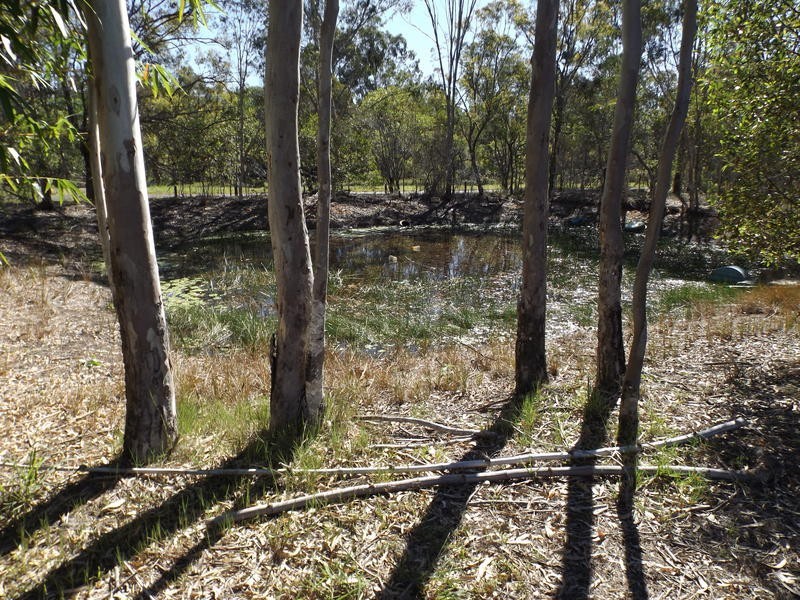 11 Sanctuary Lane, Booral QLD 4655