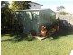 20 Nullor St, Scarness QLD 4655