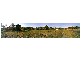 10 Sandrabarbara Drive, Booral QLD 4655