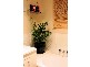 318 Boat Harbour Drive,, Scarness QLD 4655