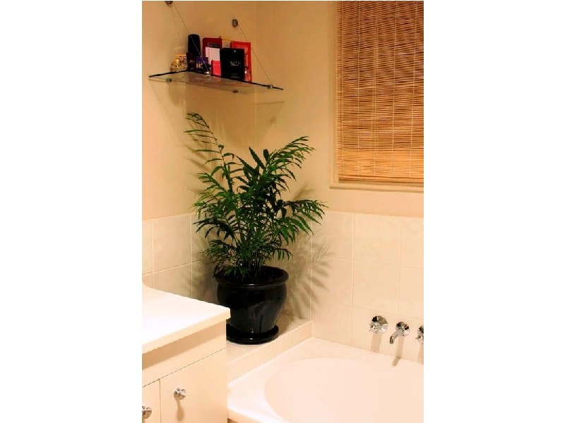 318 Boat Harbour Drive,, Scarness QLD 4655