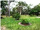 77 Scanlan Street, Sunshine Acres QLD 4655