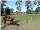 80 Ti Tree Road East, Booral QLD 4655