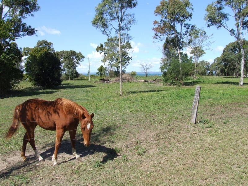 80 Ti Tree Road East, Booral QLD 4655
