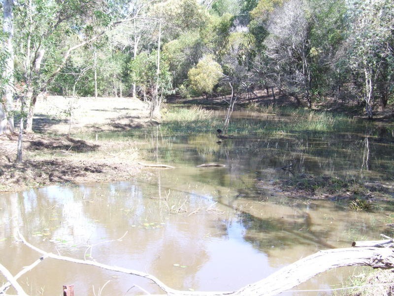 80 Ti Tree Road East, Booral QLD 4655