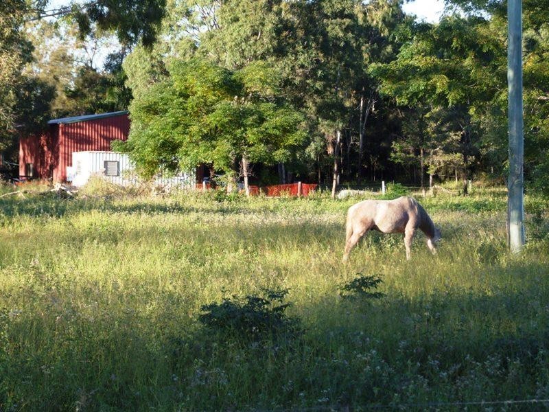 80 Ti Tree Road East, Booral QLD 4655