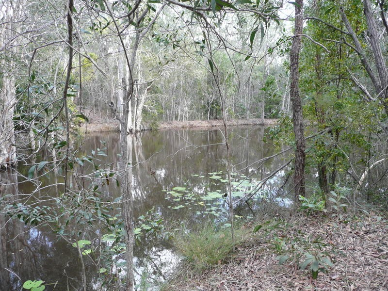 411 Booral Road, Booral QLD 4655