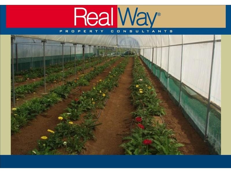 153 Pallant Road, Magnolia QLD 4650