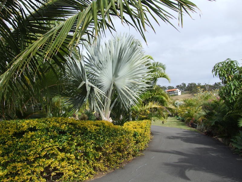 125 Cove Boulevard, River Heads QLD 4655