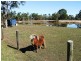 214 Condor Drive, Sunshine Acres QLD 4655