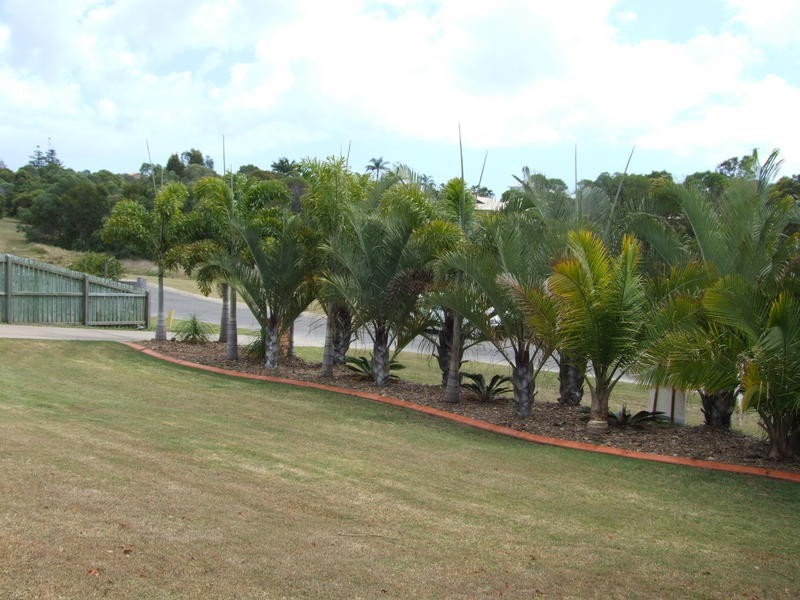 10 Daydream Court, Kawungan QLD 4655