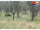 Takura QLD 4655