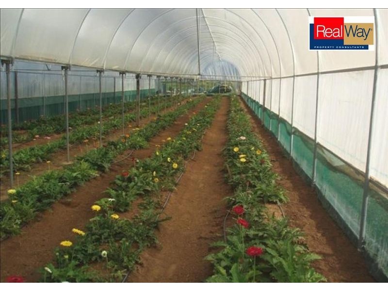 153 Pallant Road, Magnolia QLD 4650