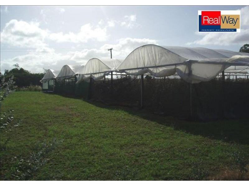 153 Pallant Road, Magnolia QLD 4650