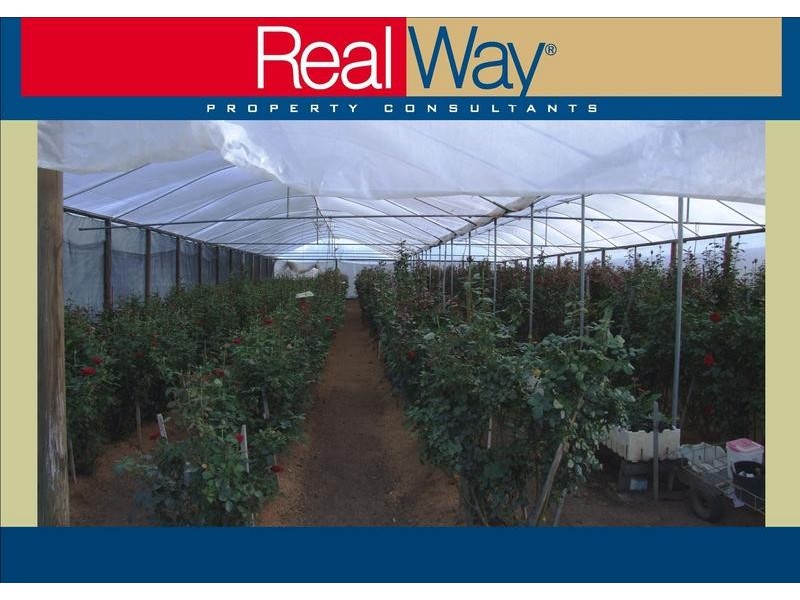 153 Pallant Road, Magnolia QLD 4650