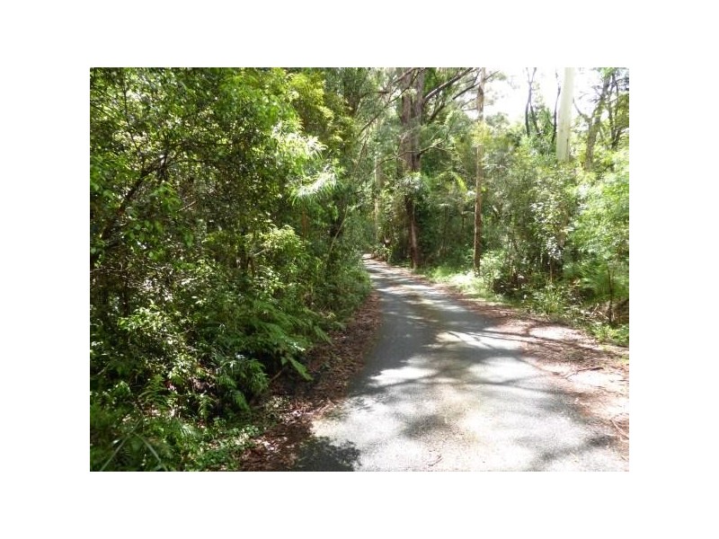 1 Mimosa Road, Springbrook QLD 4213