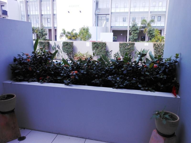 13/ 1 Acacia Court, Robina QLD 4226