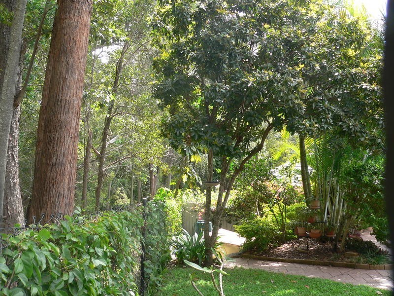 20 Banff Court, Robina QLD 4226