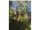 80 Bridgman Drive, Reedy Creek QLD 4227