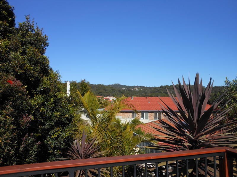 19 Cordyline Drive, Reedy Creek QLD 4227