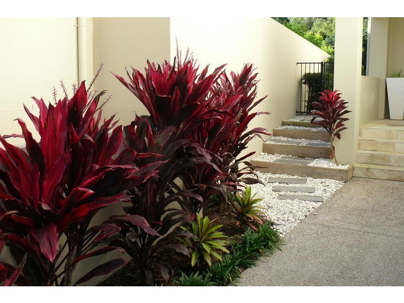 130 Easthill Drive, Robina QLD 4226