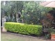 168 Easthill Drive, Robina QLD 4226