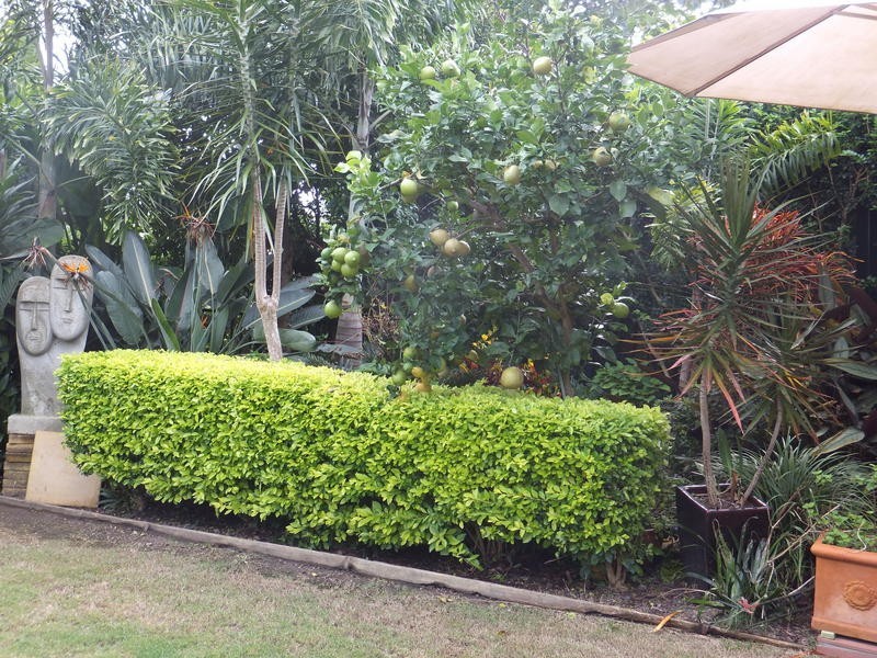 168 Easthill Drive, Robina QLD 4226
