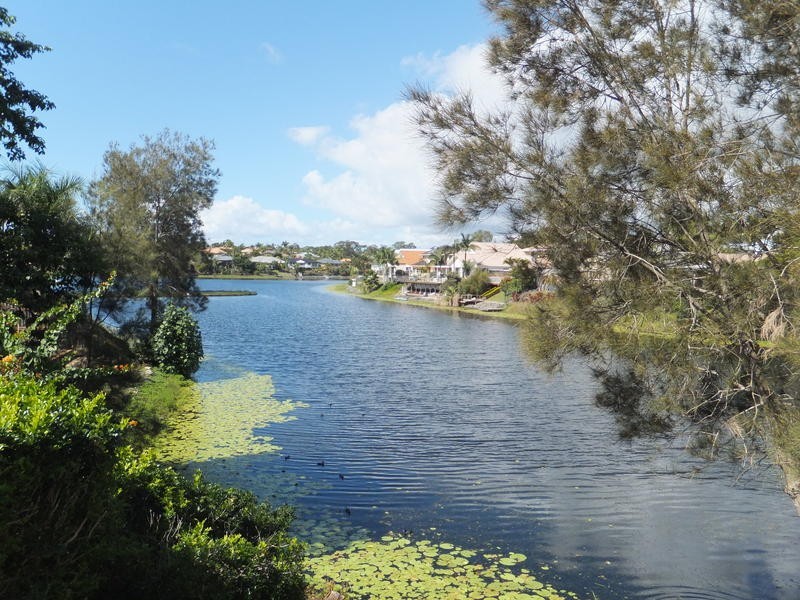 1 Gabriels Court, Robina QLD 4226