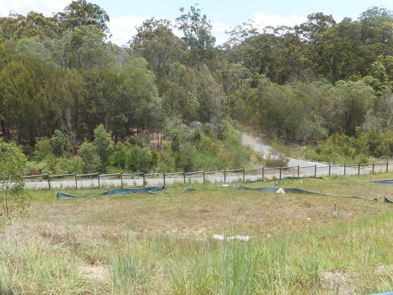 7 Golden Grove Boulevard, Reedy Creek QLD 4227