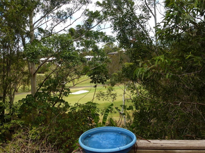 17 Grenaside Ct, Robina QLD 4226