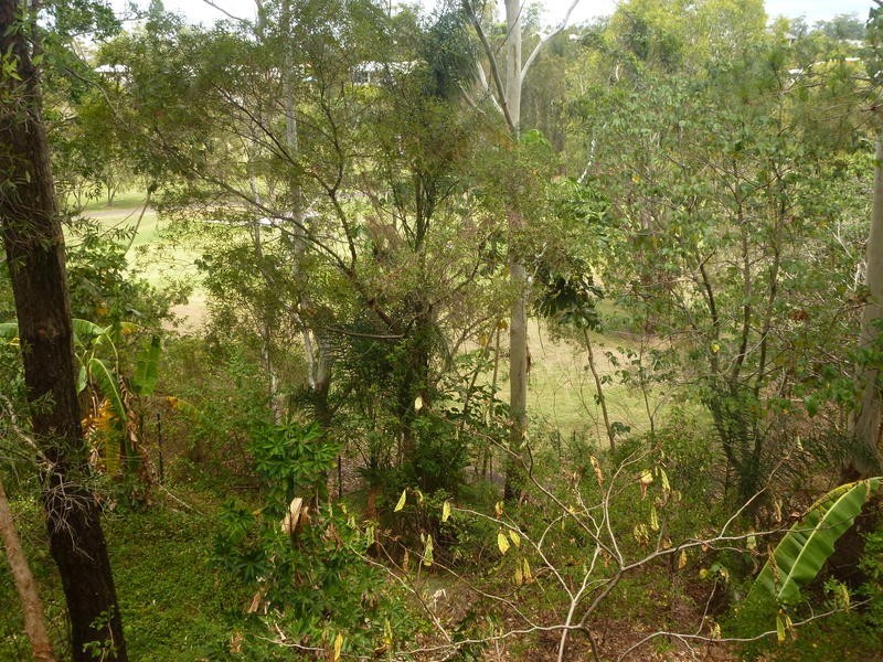 17 Grenaside Ct, Robina QLD 4226