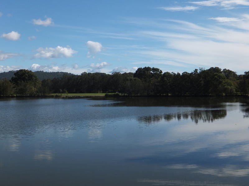19 Hibertia Avenue, Elanora QLD 4221