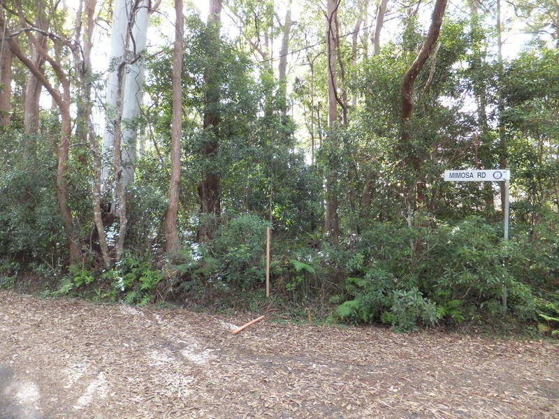5 Mimosa Road, Springbrook QLD 4213