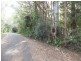 5 Mimosa Road, Springbrook QLD 4213