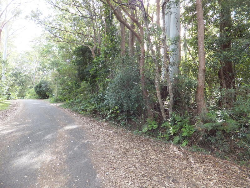 5 Mimosa Road, Springbrook QLD 4213