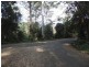 5 Mimosa Road, Springbrook QLD 4213
