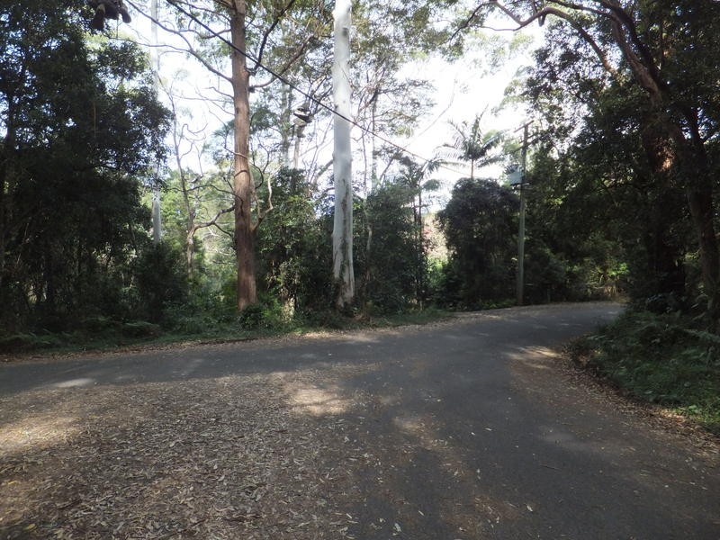 5 Mimosa Road, Springbrook QLD 4213