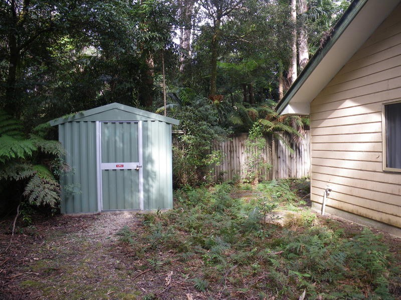 15 Mundora Road, Springbrook QLD 4213