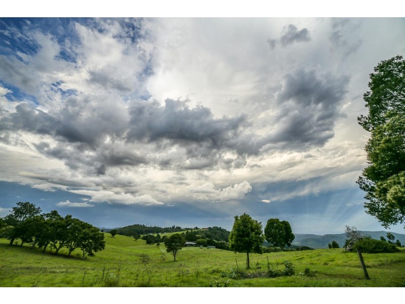 1 Poplar Court, Beechmont QLD 4211