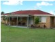 43 Razorbill Street, Burleigh Waters QLD 4220