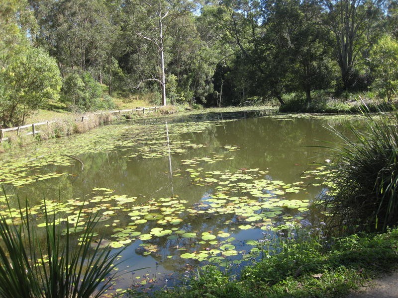 447 Reserve Road, Upper Coomera QLD 4209