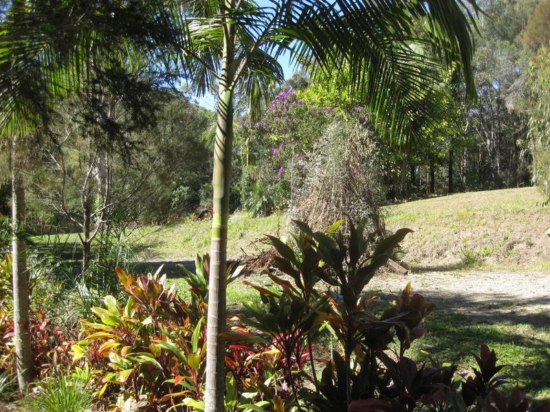 447 Reserve Road, Upper Coomera QLD 4209