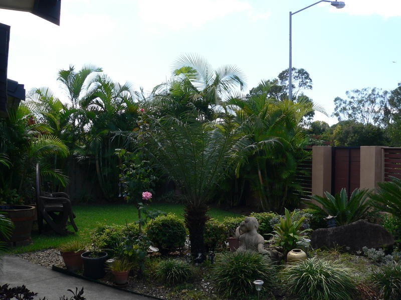239 Ron Penhaligon Way, Robina QLD 4226
