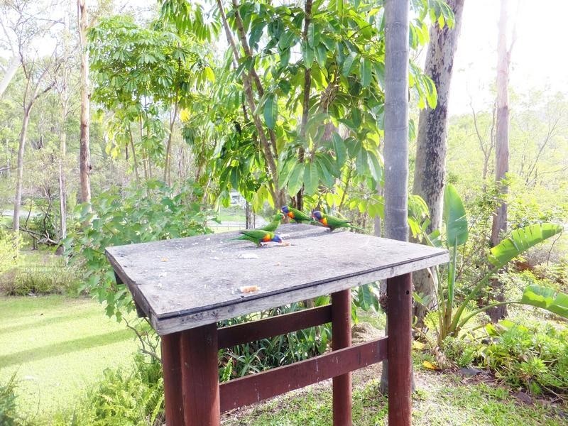 3 Royston Crescent, Reedy Creek QLD 4227